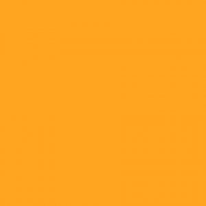 PL 074 SL - Yellow Flower